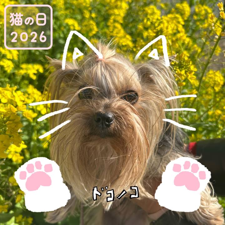 98f5d6b7 0ea7 43c6 b6ab a8a464d5d6c1 1771721239186