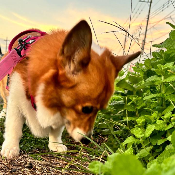 98f60d27 3240 4ca4 abb8 ff2173326d10 1727773936173