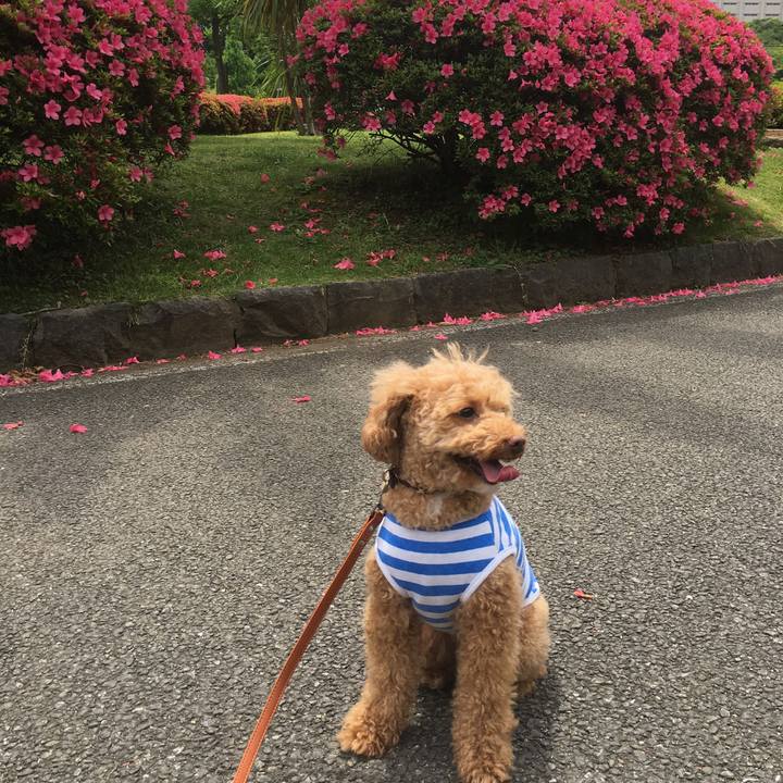 98f62665 e199 4486 8122 4e1b17b1c877 1527583242587