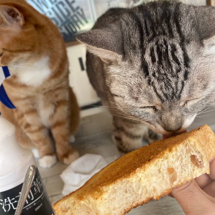 98f670b1 4f8c 4504 8099 a37e243f2c57 1639361067785