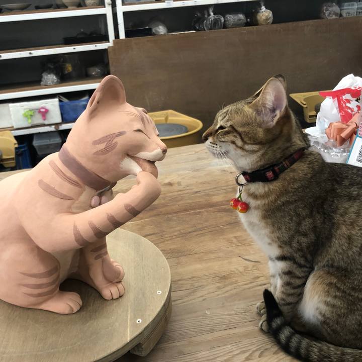 98f69dc7 7c26 47d2 9dc6 afd9980367e9 1647164471575