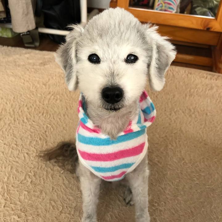 98f6a7cb 3870 4438 b9d1 d8f6287bdc71 1588428169188