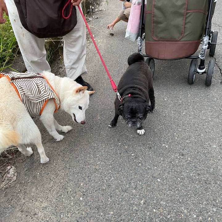 98f6f8f7 d484 4bd3 b8df dc333d49f572 1655472501070