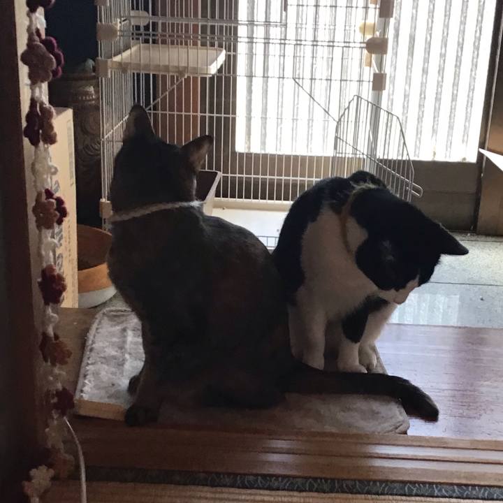 98f775cd 2a92 4448 b75d 1edbb54d937c 1648337398500