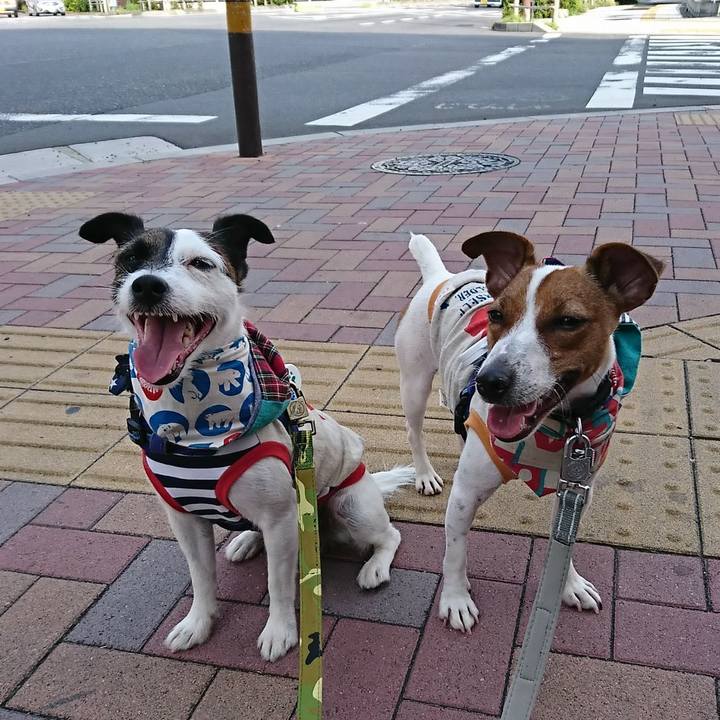 98f777d9 cbbf 4bb7 a244 f89f72d68a7e 1532216953254