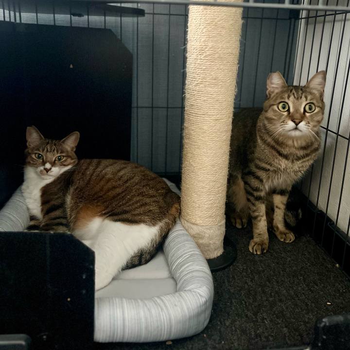 98f7e422 e8ab 4b68 9f9c bd3d9f64d6d3 1758803150291