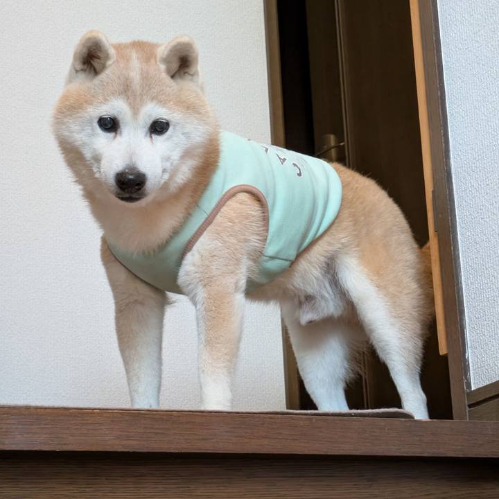 98f80e91 60df 48f8 b37f 65de79590341 1763958651779