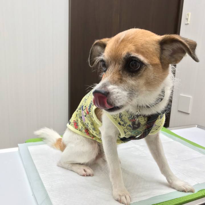 98f82b7b 82a2 41e0 8bdf 914aedeac96f 1565438963254