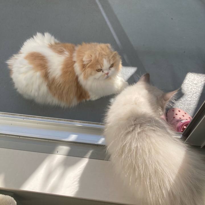 98f84cc1 a416 4d0e aa15 1a41ec944fdb 1667105641663