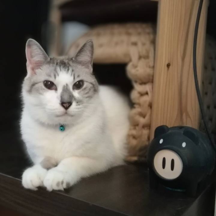 98f85f66 0612 4775 b961 6ddc0ee26538 1569314372802