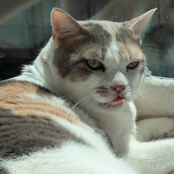 98f8653d 71d4 4da0 918c 7c2236bb7e04 1719114596356