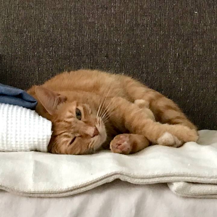 98f87a48 4f2e 4e7e 8c86 83e1275eab71 1535773850706