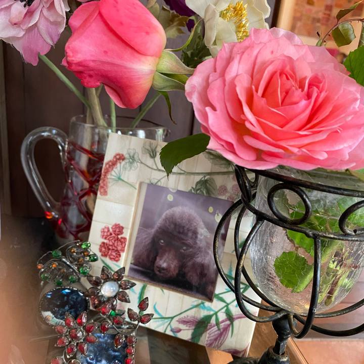 98f87d95 9ff8 42cc af84 66fa8b2d5f4f 1681453823177