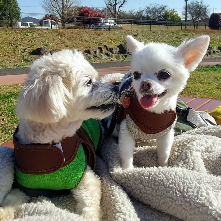 98f883bb 4b80 4382 8674 9f956e37616c 1670680388867