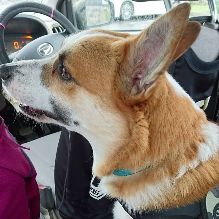 98f8fbb2 c523 46b3 8f9a b3b6c0bb6683 1621475486101