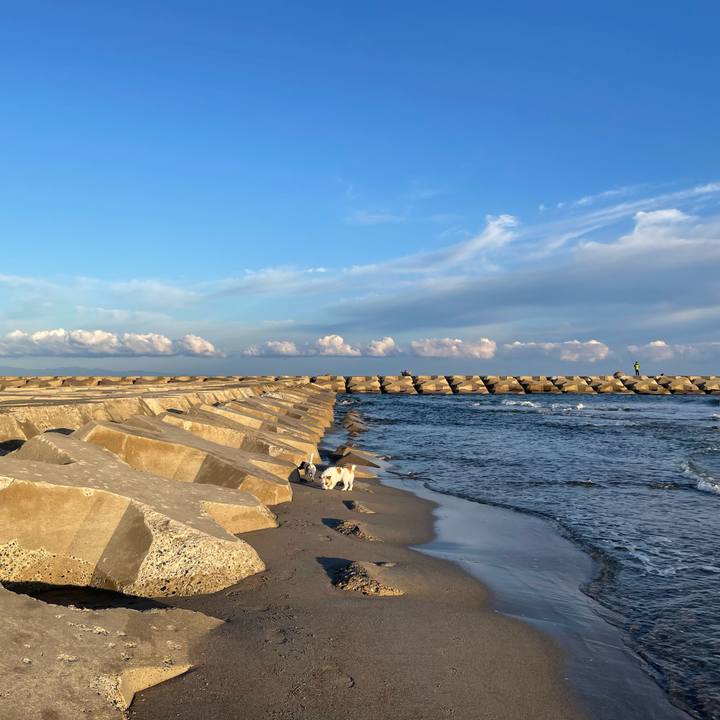 98f903b0 e8c2 4783 9cd1 f6f6140b9b73 1697237576655