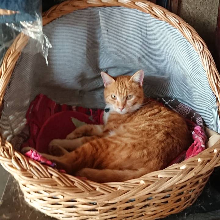 98f922a3 2e37 4b99 81f2 aae57975cfd9 1567908661480