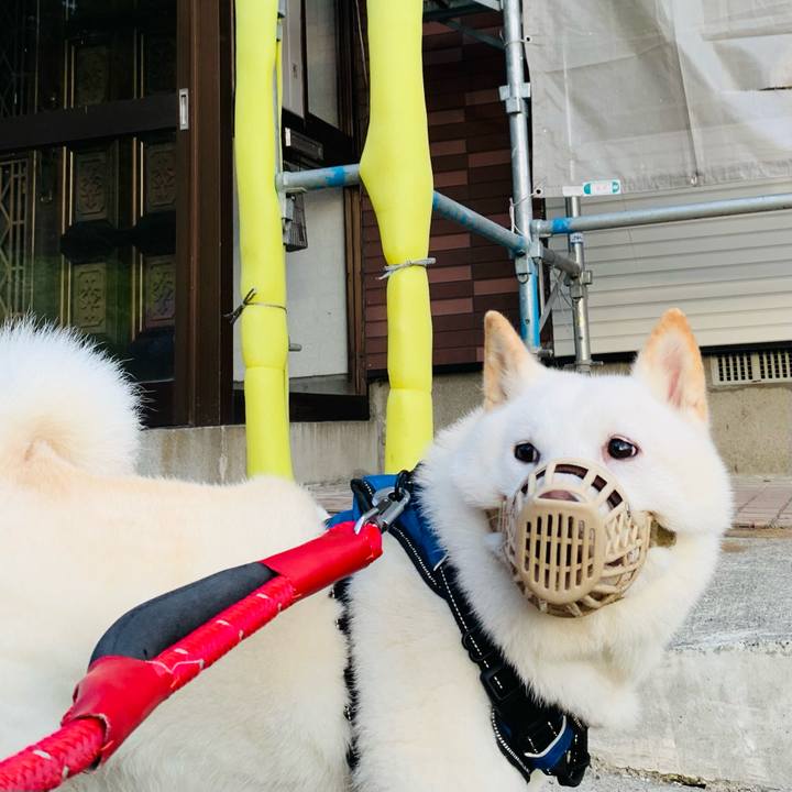 98f93a91 14e6 4dc1 818e 6979fa1c8a99 1661374740593