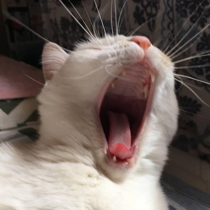 98f95eb6 bd9e 4fef a9d4 5cc160796a50 1524268119854