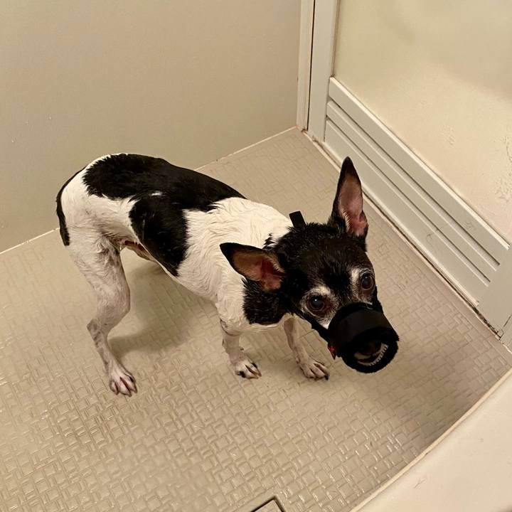 98f99e31 94a1 4ce2 8d70 44f920d4b8d6 1626572817426