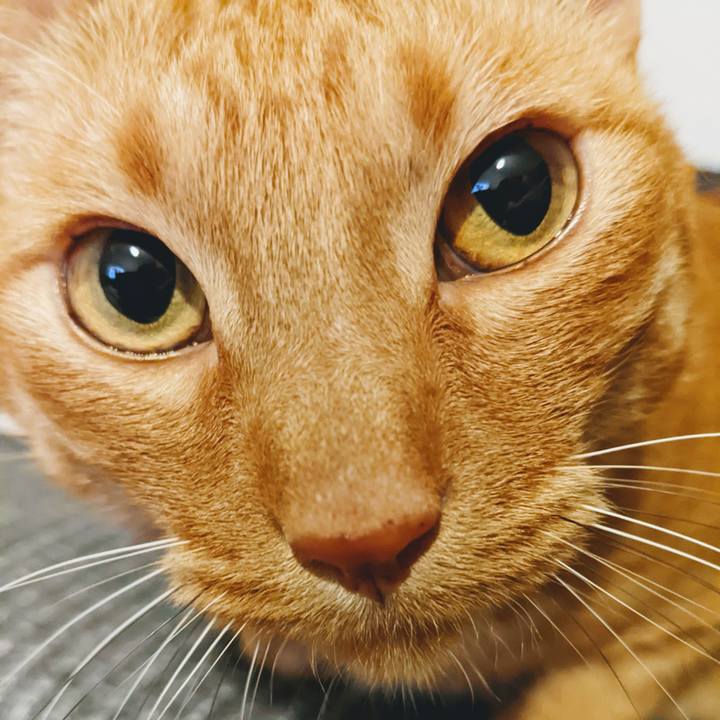 98f9a411 6919 47a2 82c3 6e70cff35635 1646397610012