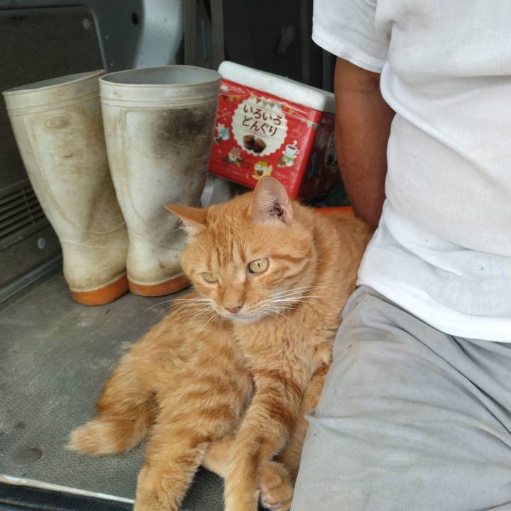 98f9a753 730c 4ba5 be68 51bfcbd9dd6f 1752463882504