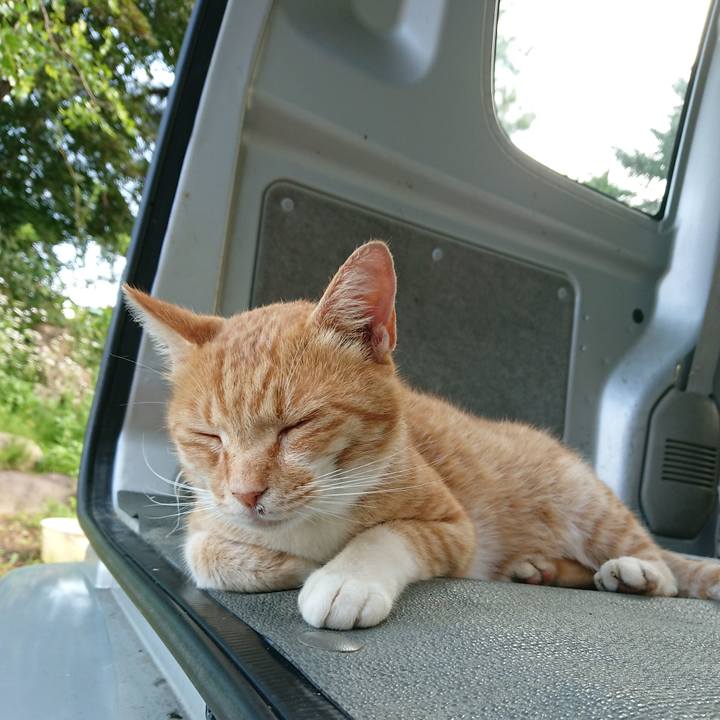 98f9b8d9 282e 4028 bc8a 7505cf18ee6f 1596354047822