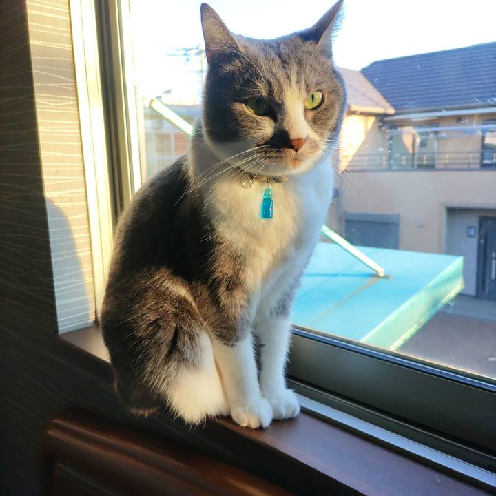 98f9dc03 959b 4fcd b287 df63aed5b768 1712700004457