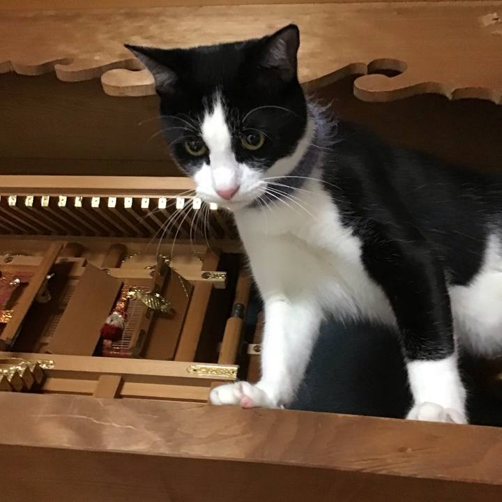 98fa25da 97d1 439a bd28 55fdefc7c7bc 1668085974974