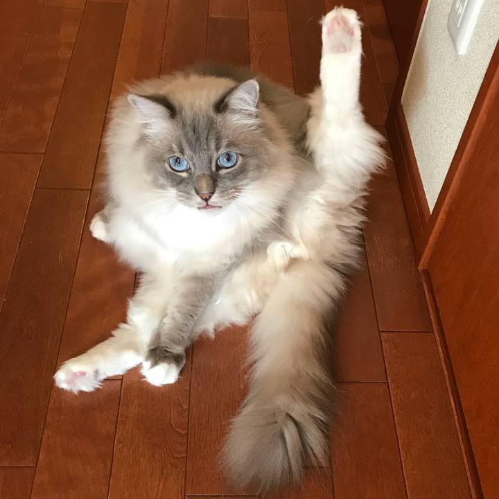 98fa8203 0250 4ec0 b022 a71576a55d18 1520342594603