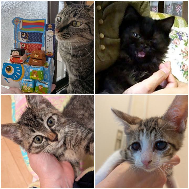 98fa8e24 a1f6 4e5f 87f4 bb0b46237f1f 1746429959464