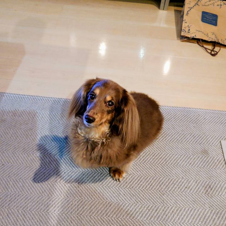 98fad734 eb95 46b4 bc70 e999cdf32559 1760776427140