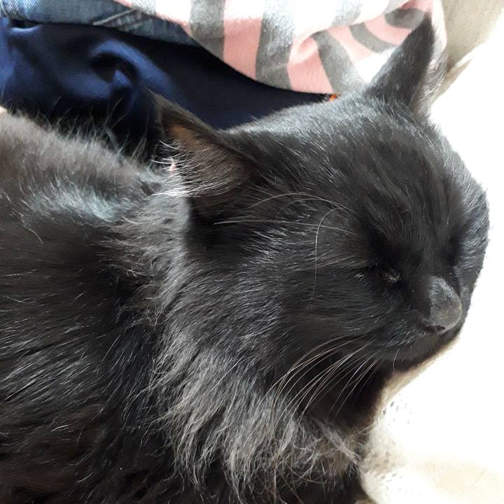 98fae71c f923 49f0 a19a b7e975c9e771 1521190741651