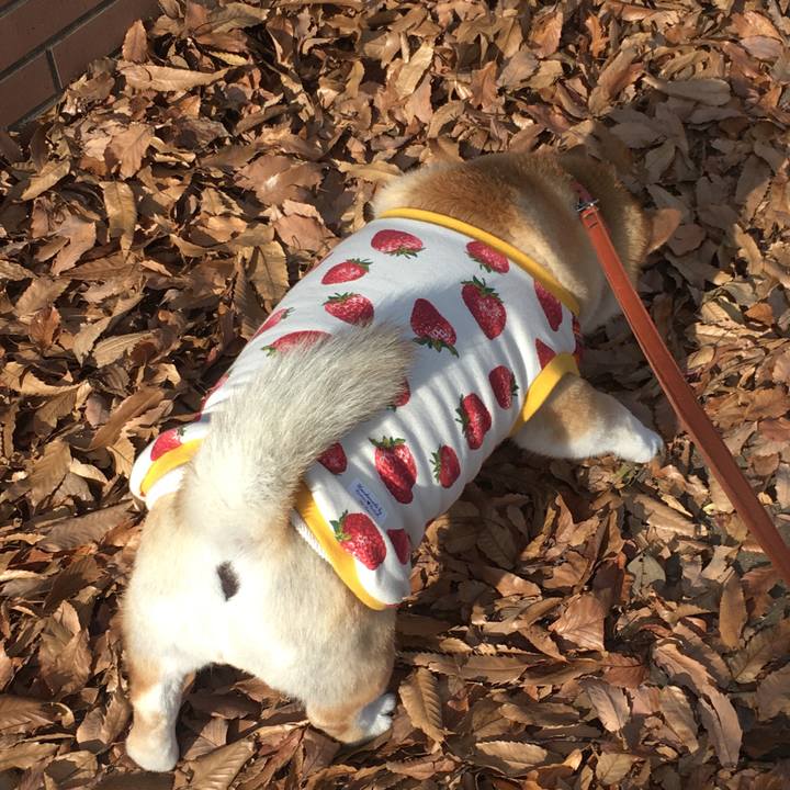 98faeb8f b756 4587 a874 22db78c8b487 1576385107717