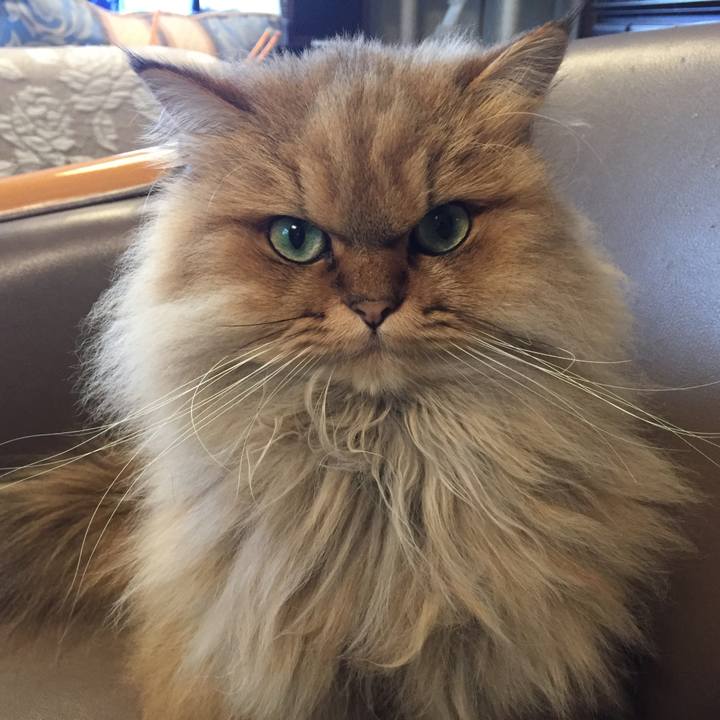 98faf621 d617 447c 8594 9d090bb862e6 1543467498434