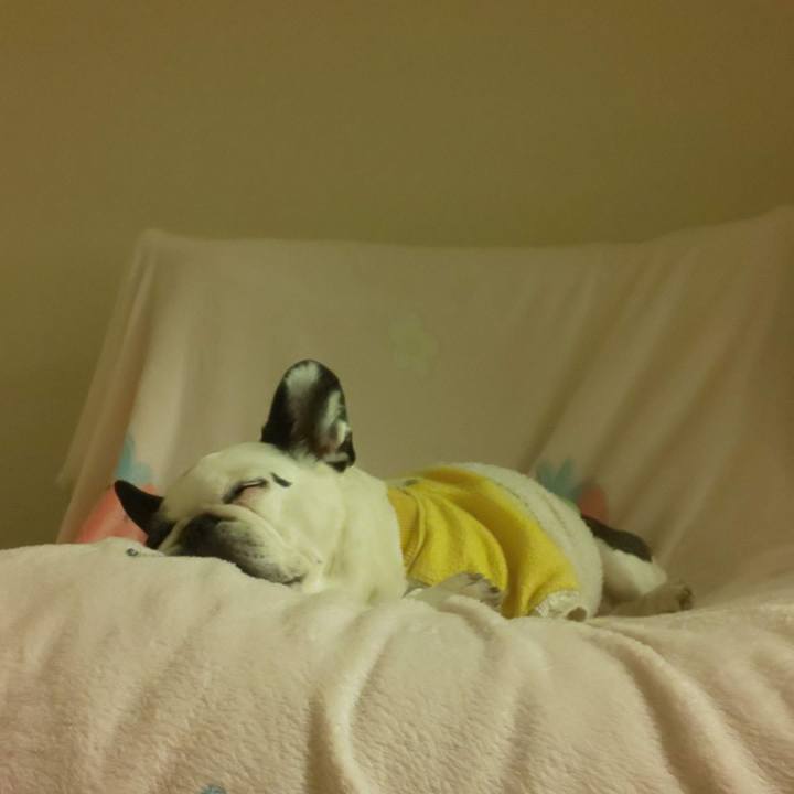 98fb1d15 4fe1 498b ba79 ccfff645f945 1700644076933