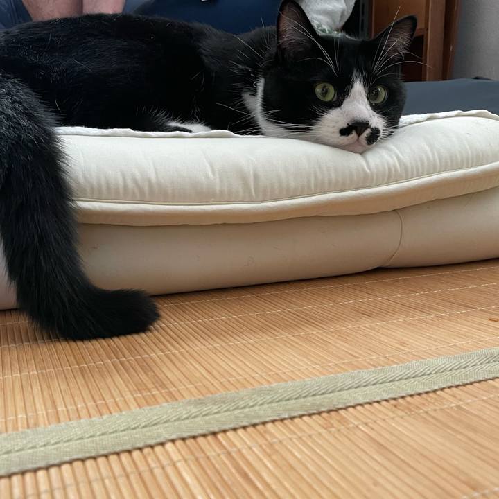 98fb20c8 9b14 4932 bc83 10ee4773877b 1658531917300