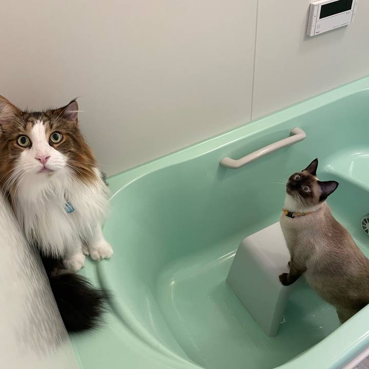 98fb2473 7cc5 4a1e 962a ad1d5647c952 1726867009949