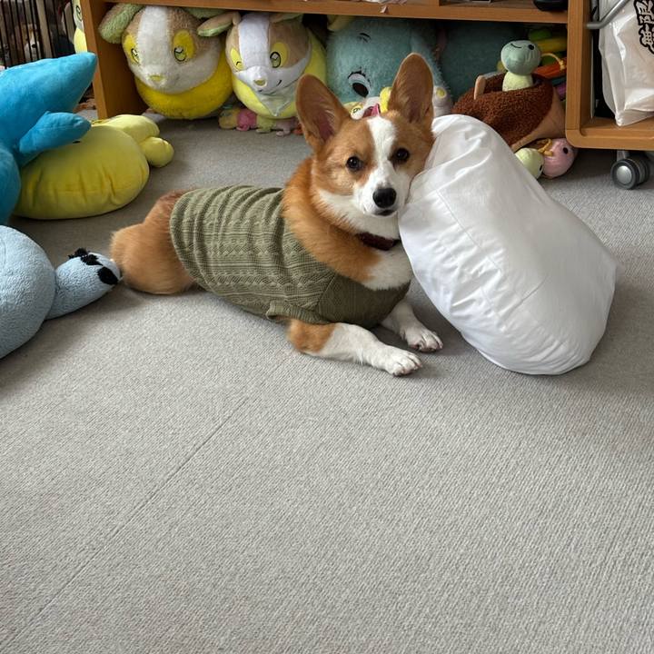 98fb2509 d535 4ffd a043 d6a82378bedb 1764045108045