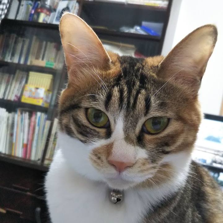 98fb3227 acd3 49a8 b8f3 94e67cd092f8 1680822513466