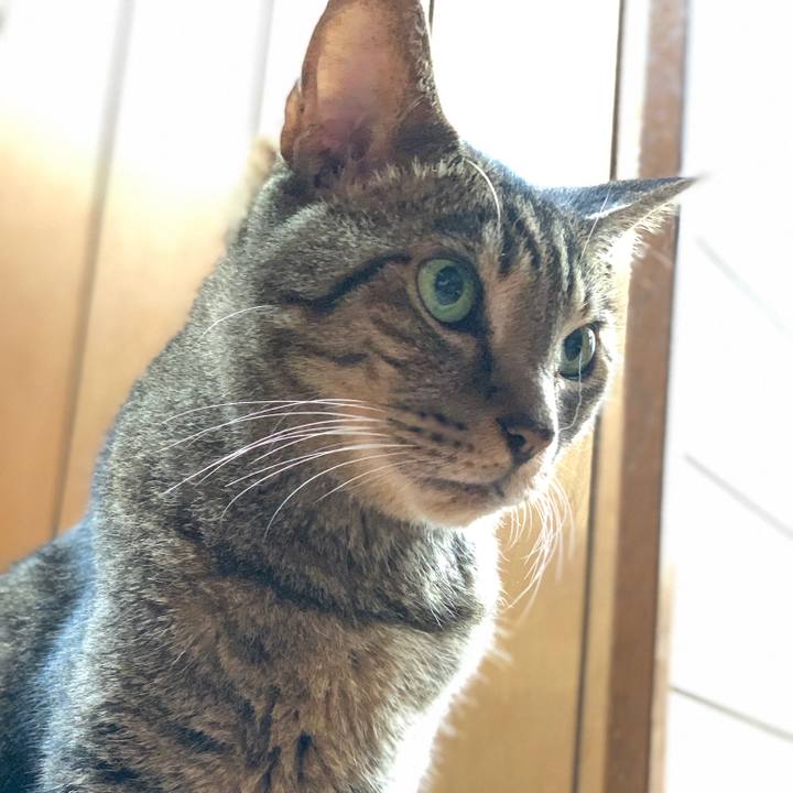 98fb42df 360c 4e71 98be 7e5df8a0e3d9 1566865722067