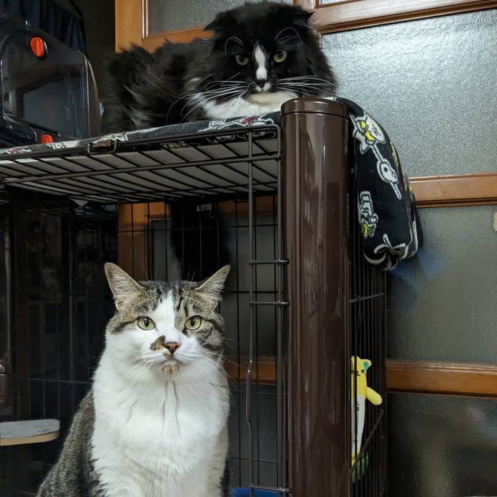 98fb5a47 c942 4149 957d 27ee638eca58 1716716733844