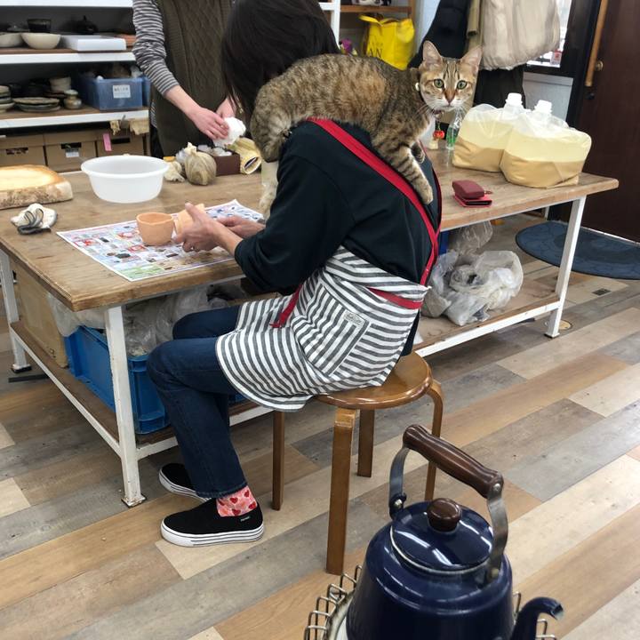 98fb713e e64e 42ea a0c8 7eb8f55b15dc 1643420170398