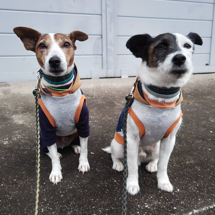 98fb8190 8208 4974 8327 4ee9fd52fa9c 1762381529908