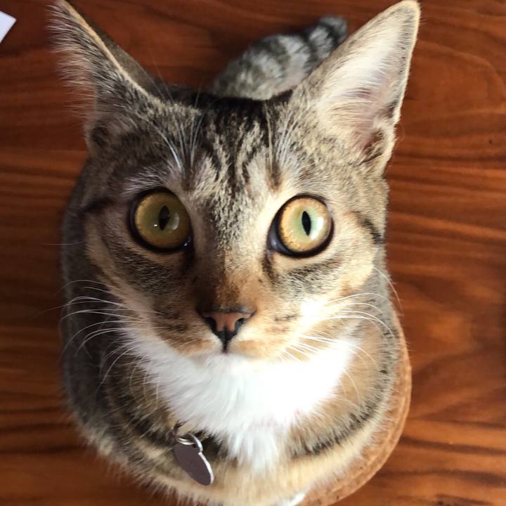 98fb97ca f953 4fe6 aa47 1b4d397b97bc 1582346991957