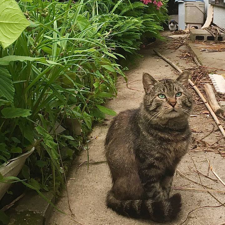 98fba841 ead5 4b81 b564 c647552a0810 1623138288084