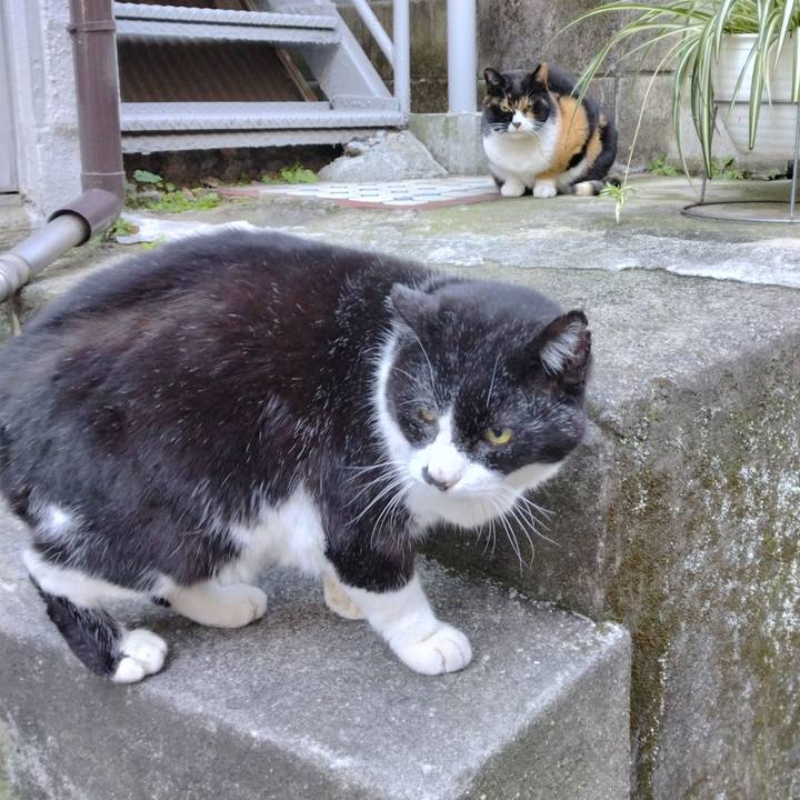 98fbabfa 7c17 4a55 8c30 c6a4f517d8dc 1703548494796