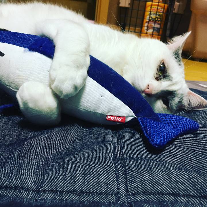 98fbc1ed b883 4ec6 9b04 899a47705b15 1608231227099