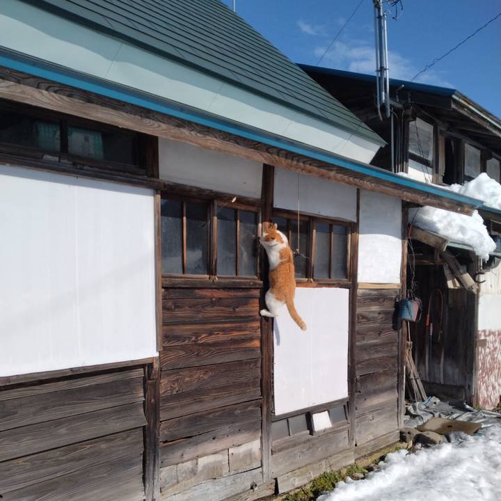 98fbefdb 0a38 4204 9e78 6c1b0f57ee9f 1764986196498