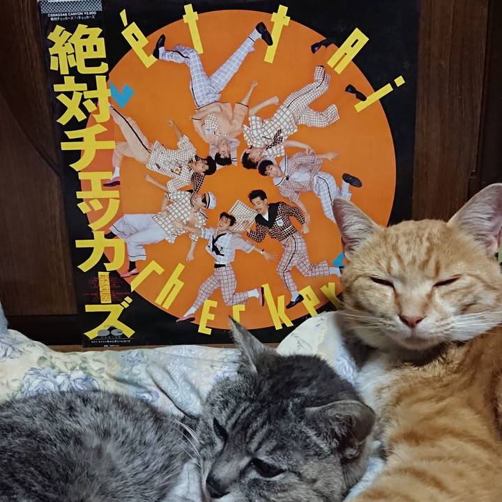 98fbf3b1 19ad 405e 9325 63481d380fc3 1589716455941